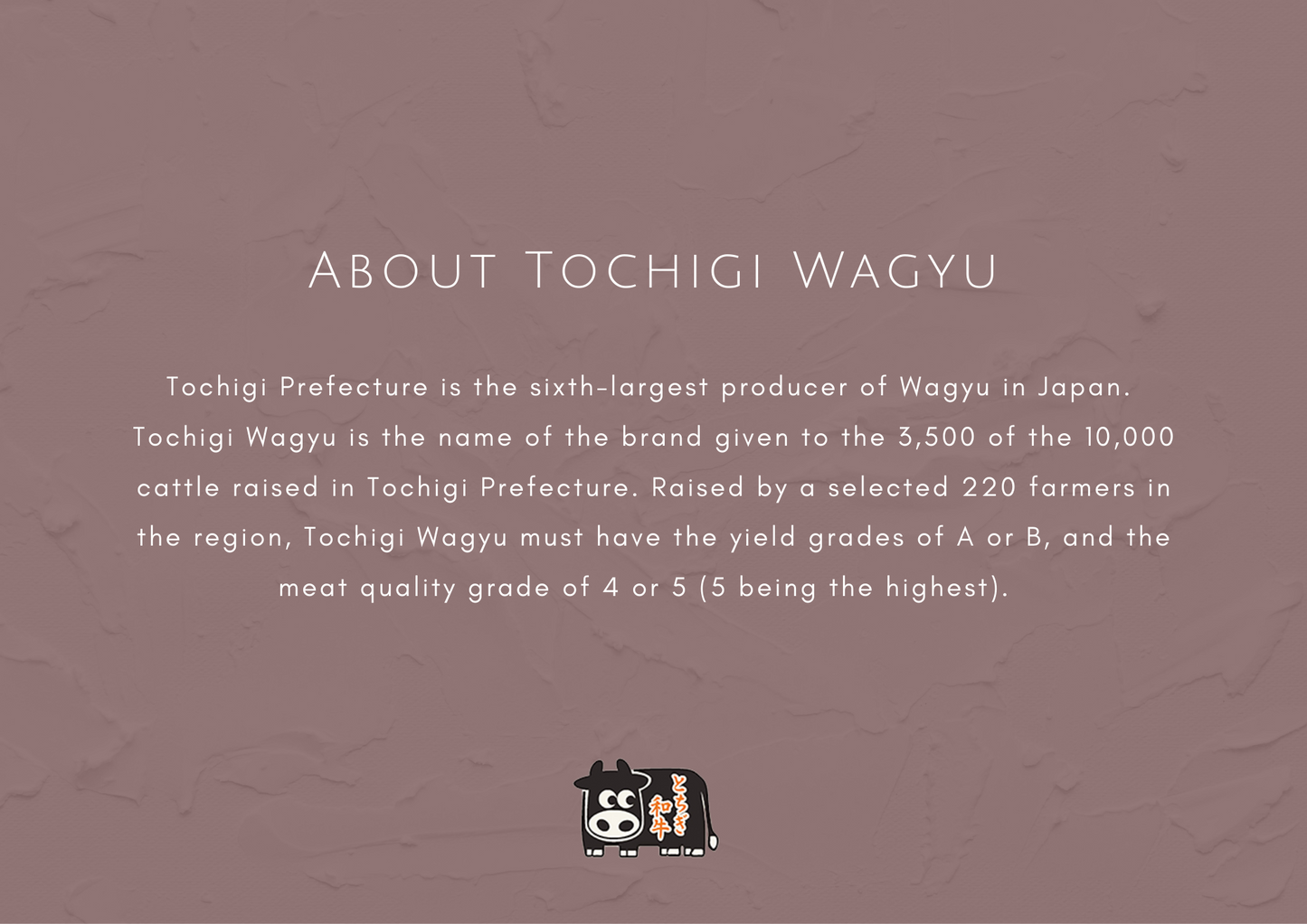 A5 l Tochigi Wagyu | Ribeye