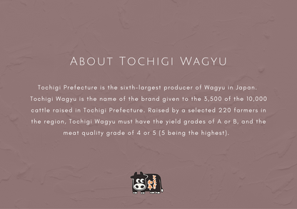 A5 l Tochigi Wagyu | Rump